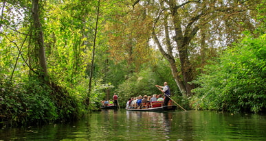 Spreewald & Cottbus-Busreise ANMELDUNG AB DEZEMBER MÖGLICH